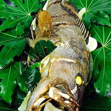 Della Motta 3* Bellaria-Igea Marina